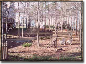 Before the backyard transformation began